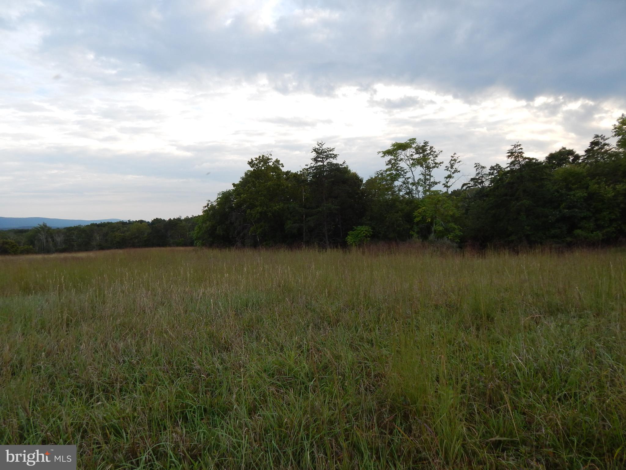 NONE AVAILABLE - Land