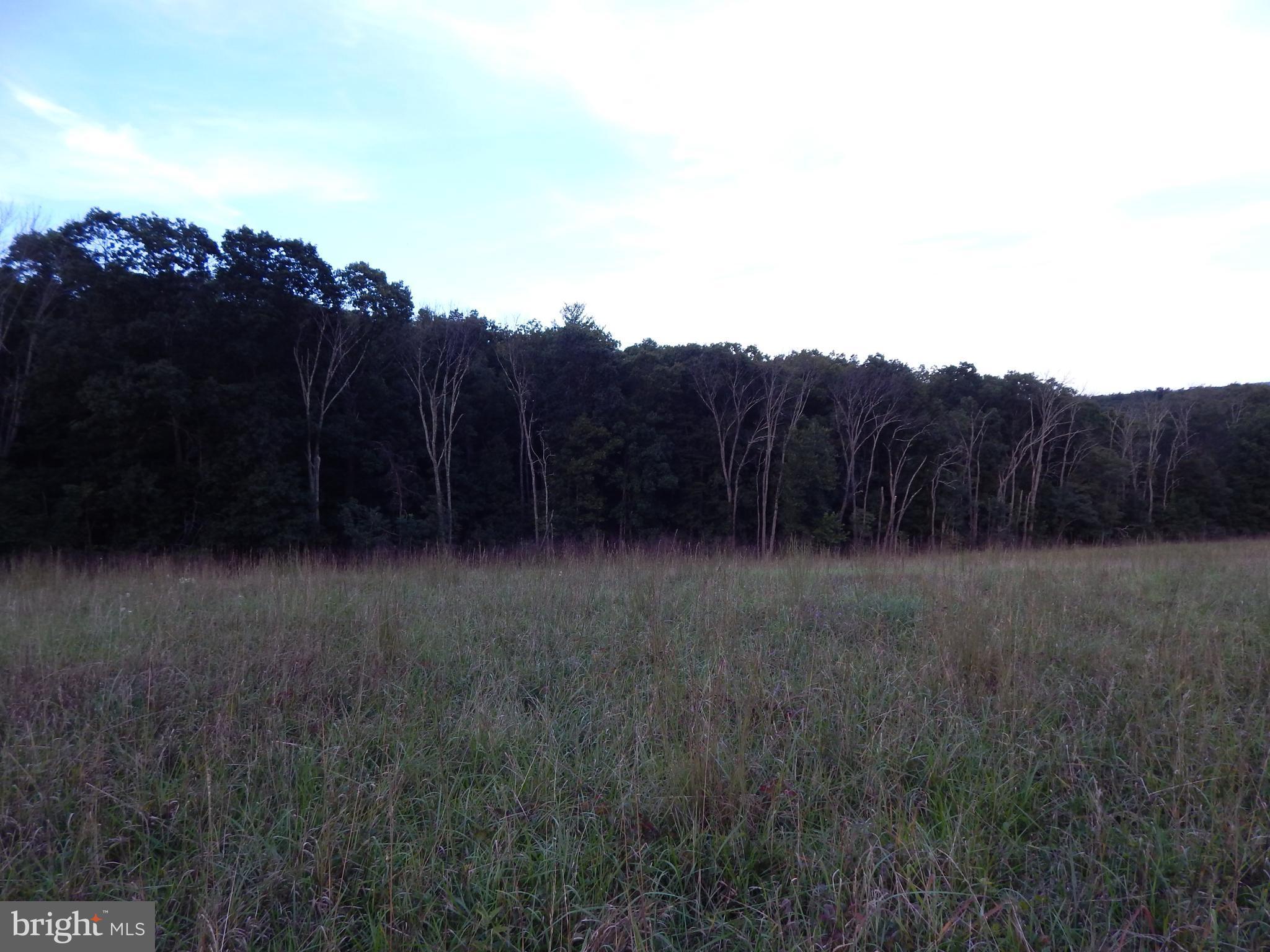 NONE AVAILABLE - Land