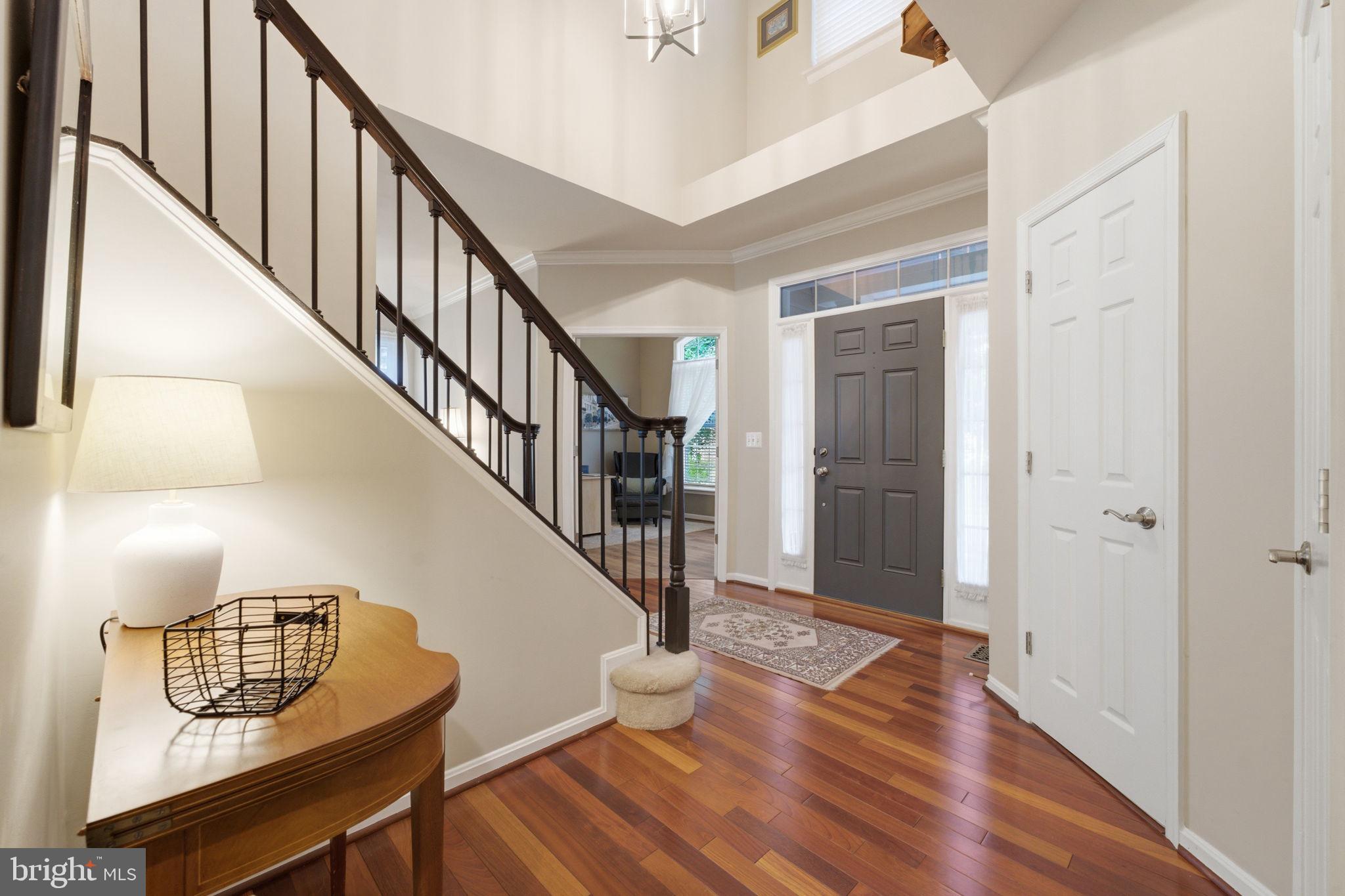 9242 RAINBOW FALLS DRIVE