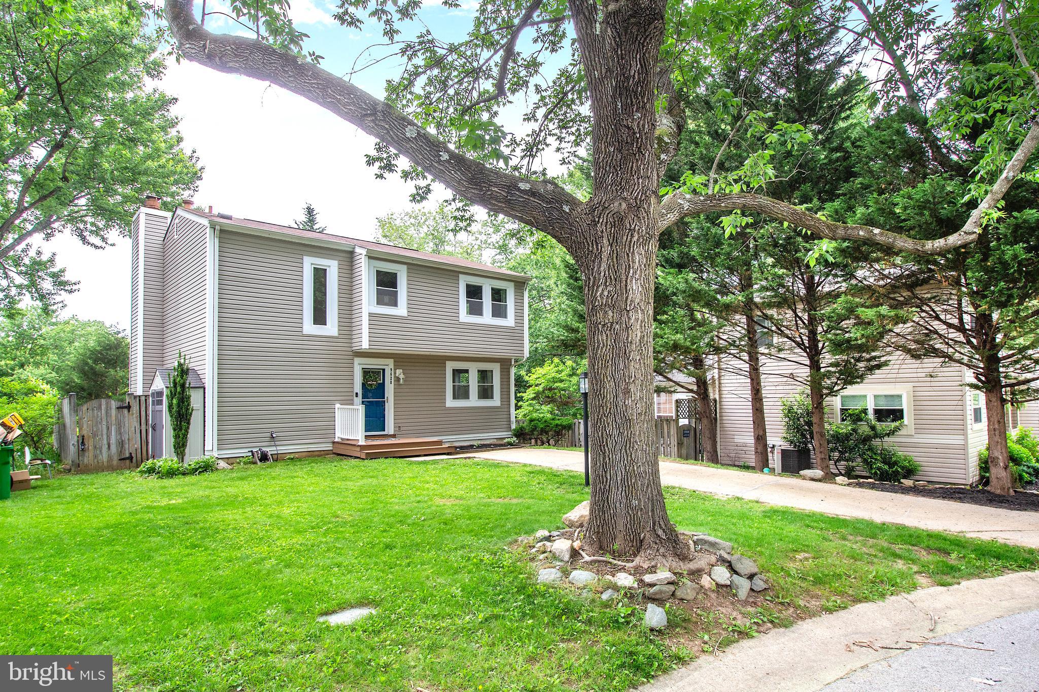9628 ROCKSPARKLE ROW