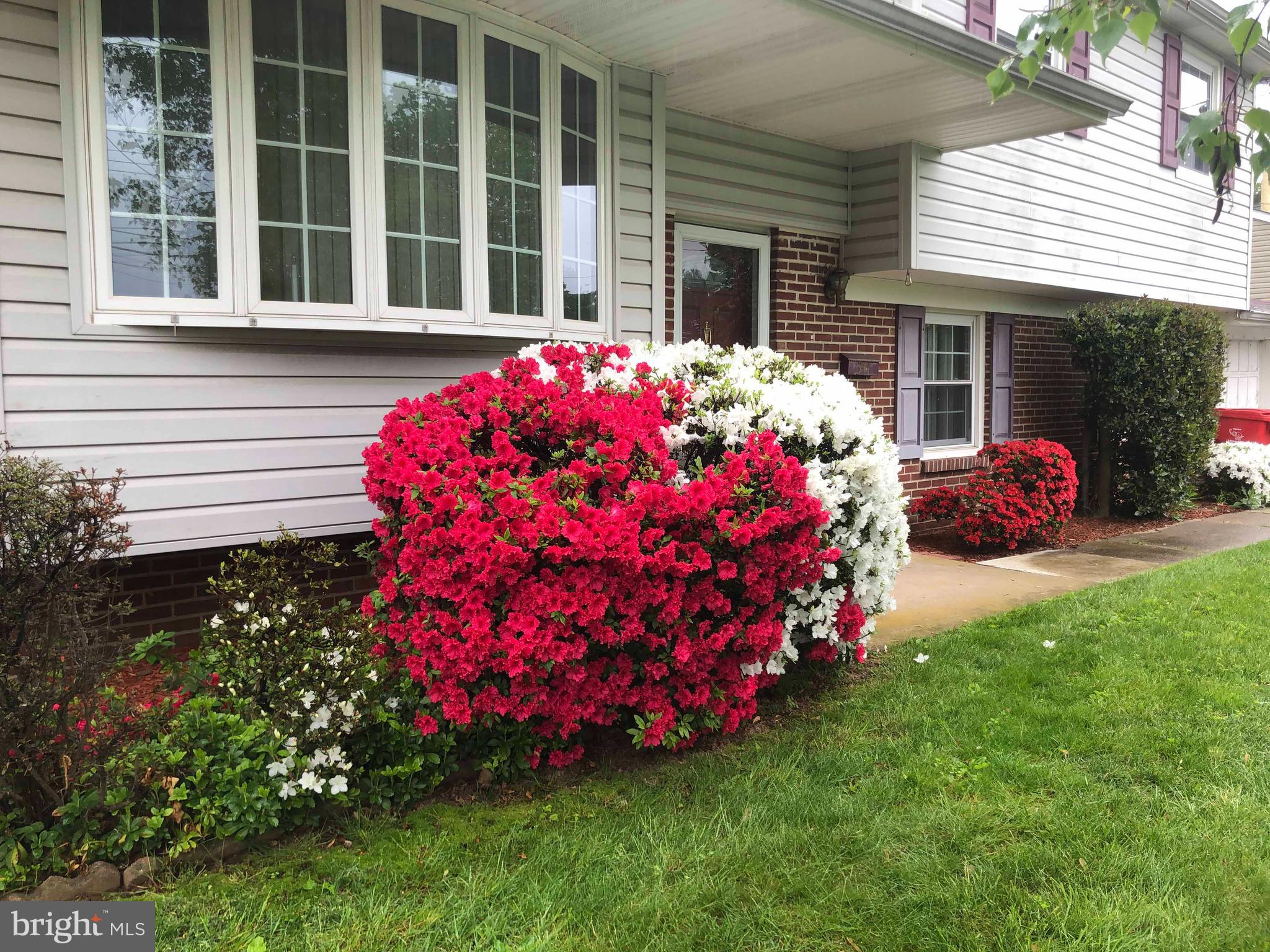 WILLOW FARMS - Residential