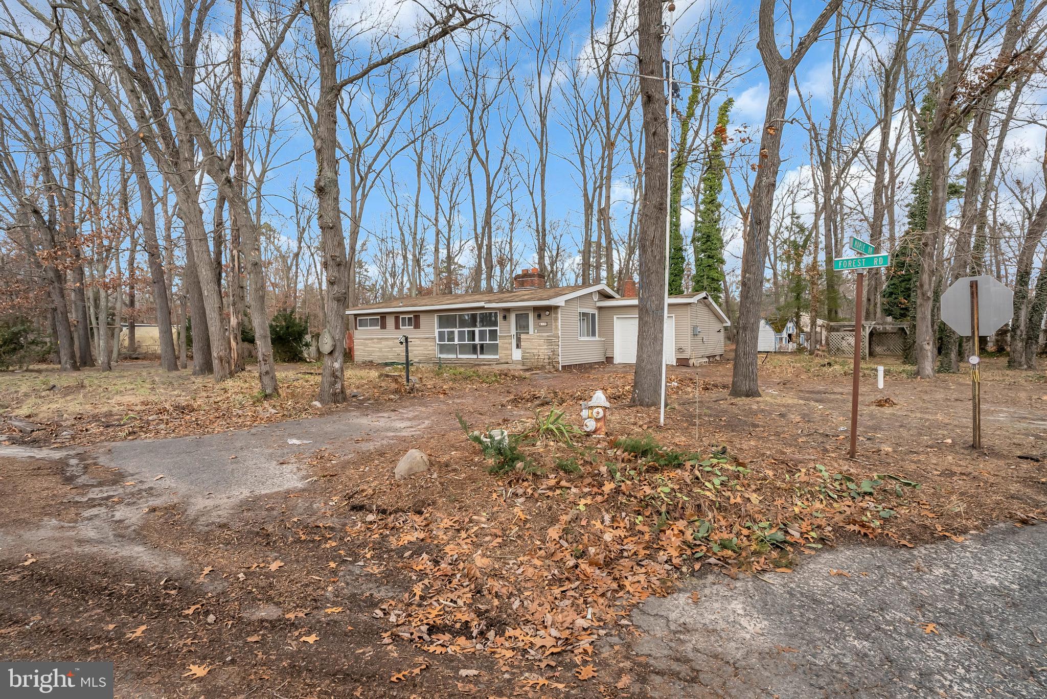 3 FOREST ROAD