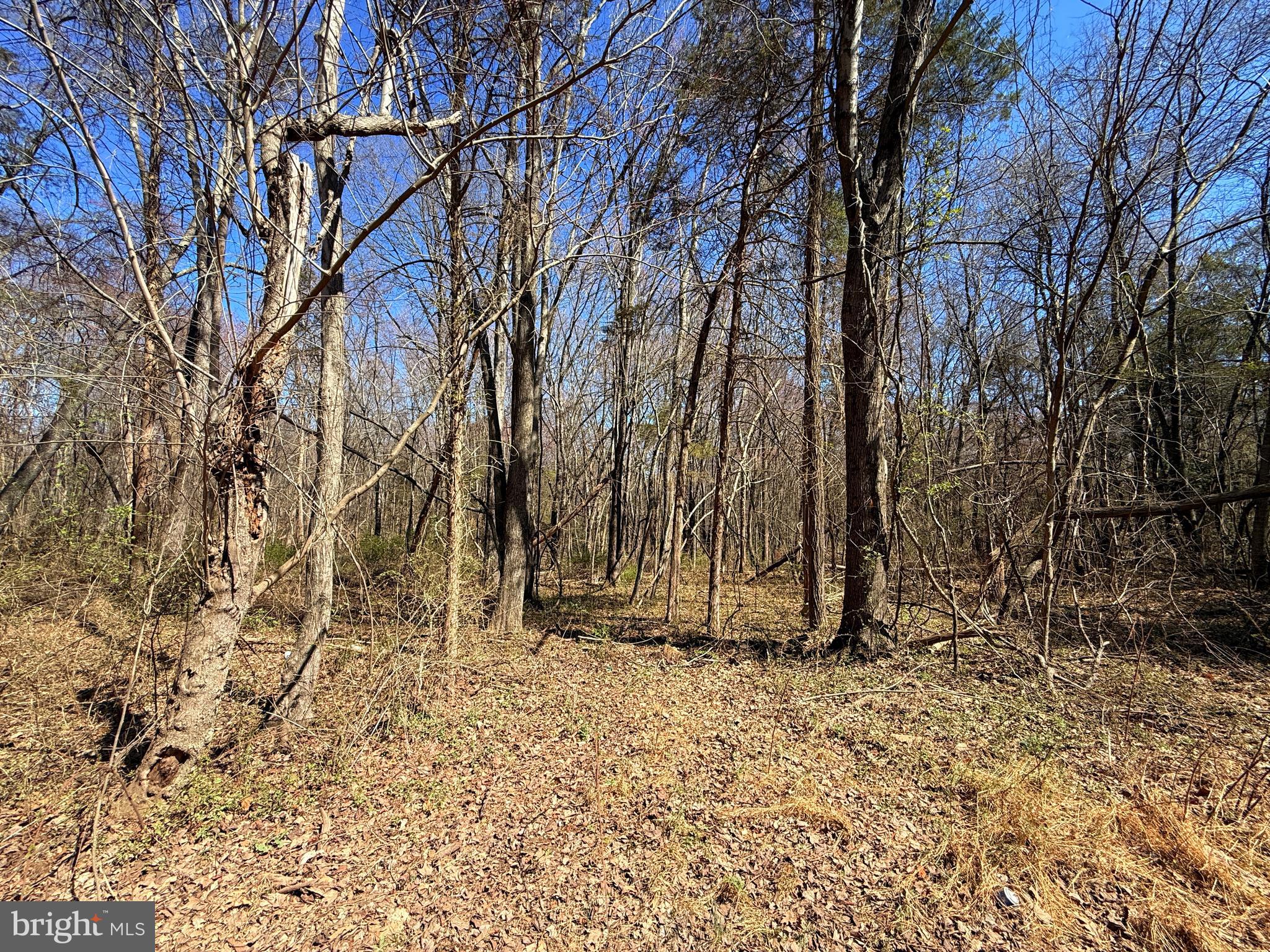 15017 LEE HIGHWAY