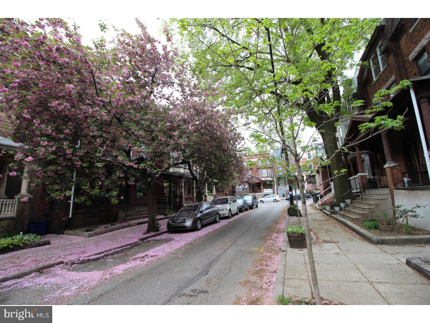 UNIVERSITY CITY - Residential Lease