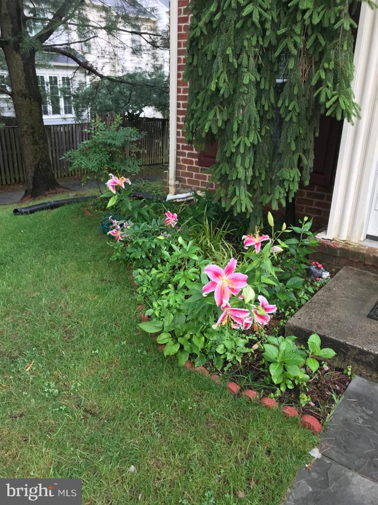 HOLLY POINTE - Residential