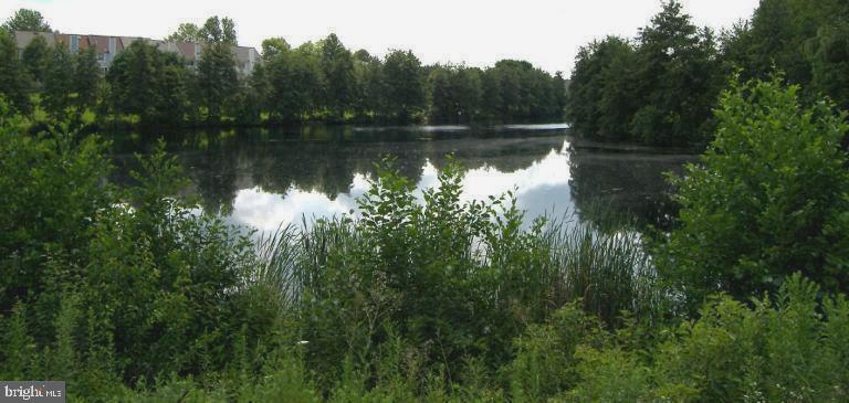 HOLLY POINTE - Residential