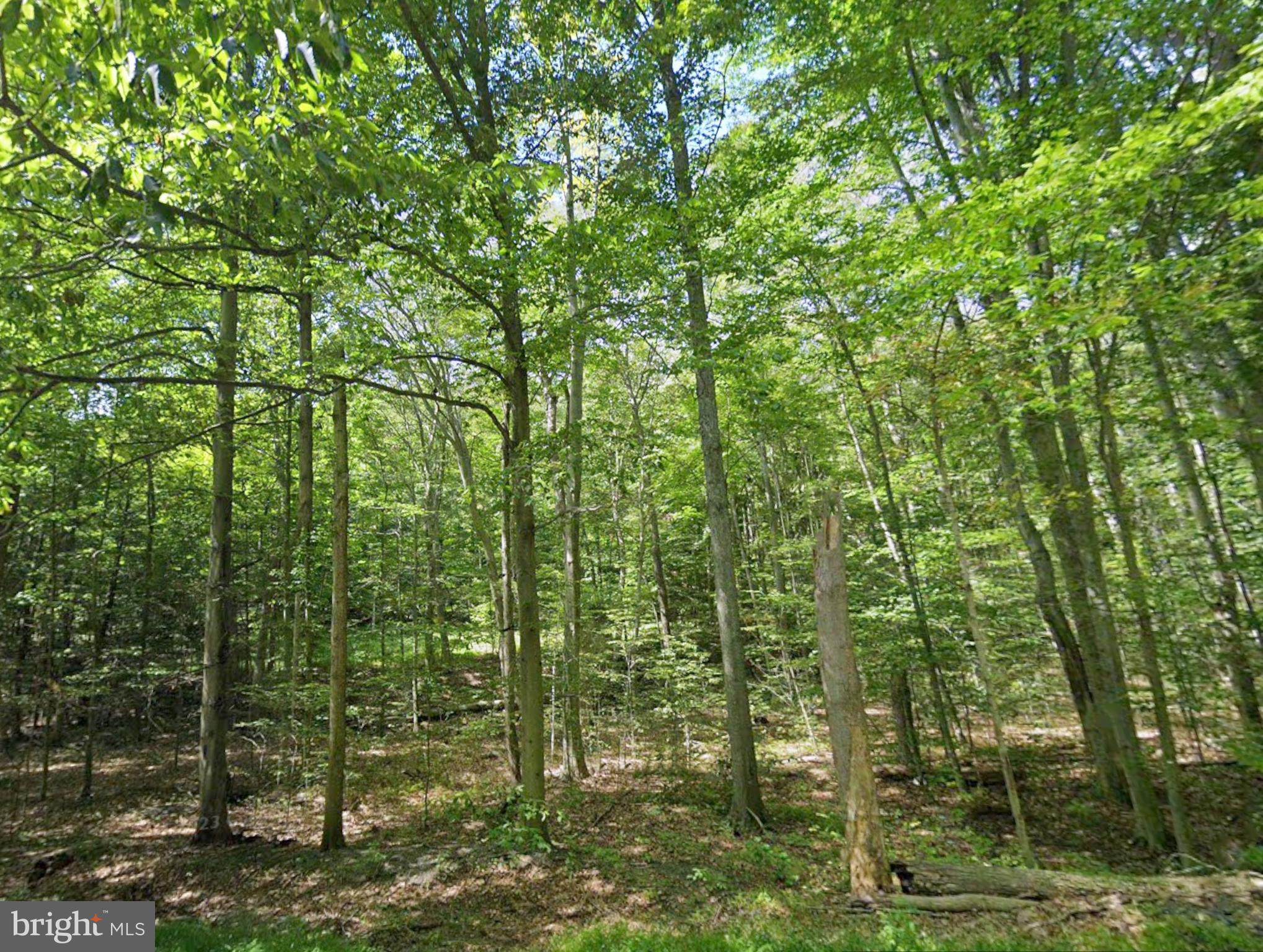 00 JUNIATA VALLEY