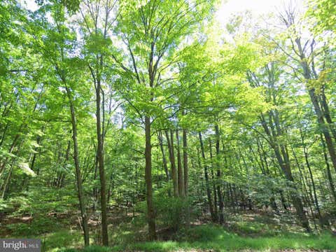Vacant Land For Sale - 00 Juniata Valley Vw<br/> Blair County, HOLLIDAYSBURG, PA 16648