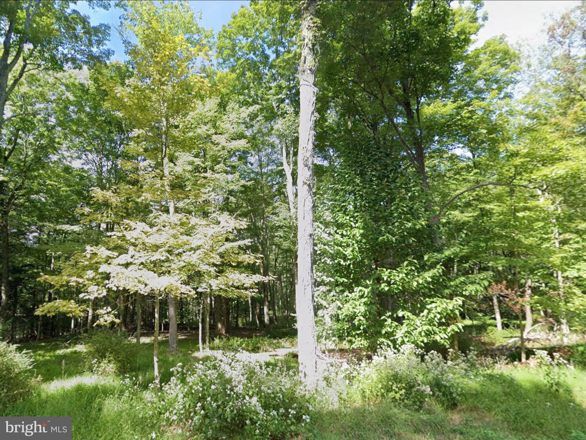 00 JUNIATA VALLEY