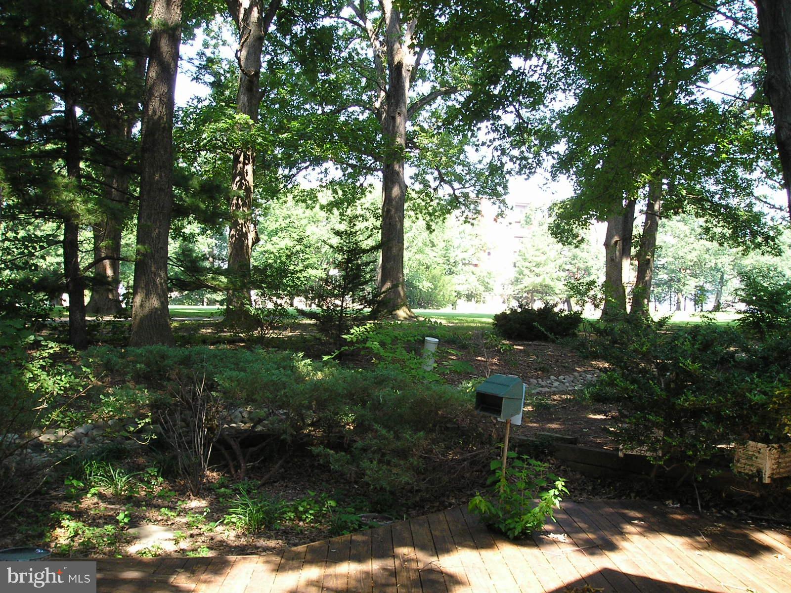 RESTON - Residential Lease