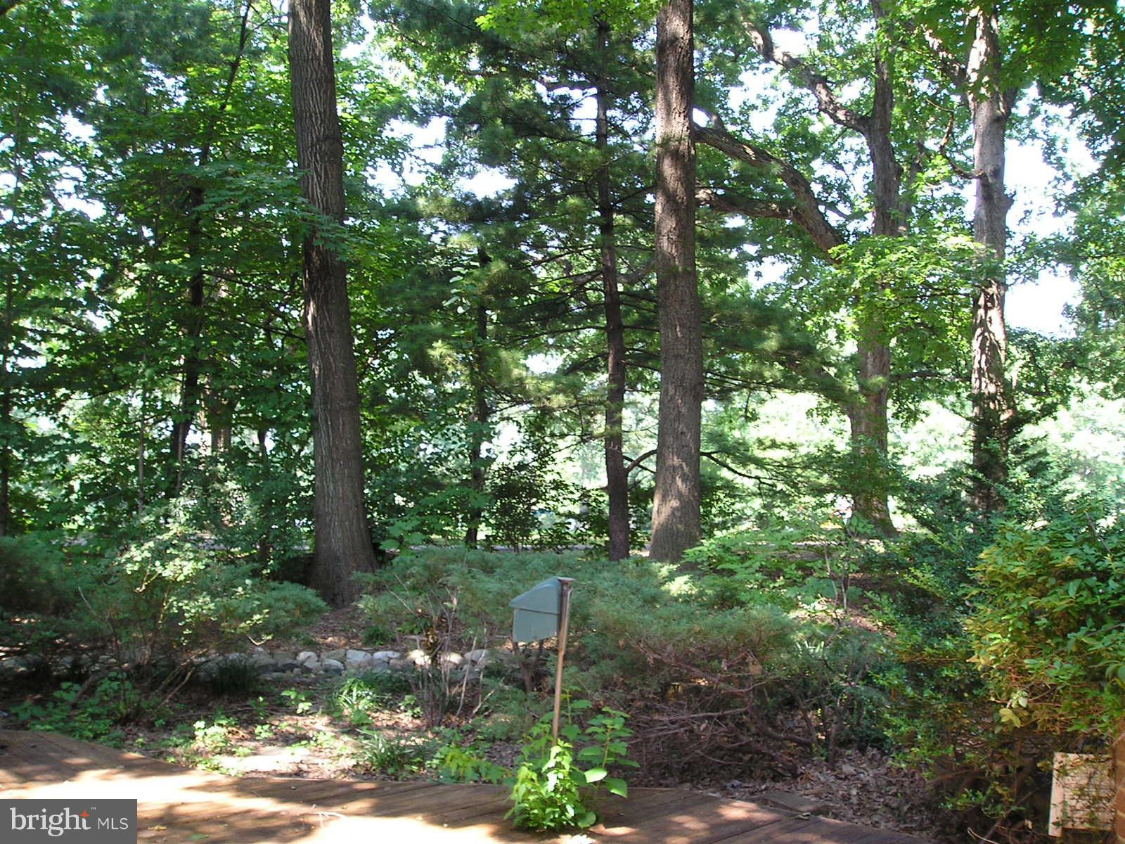 RESTON - Residential Lease