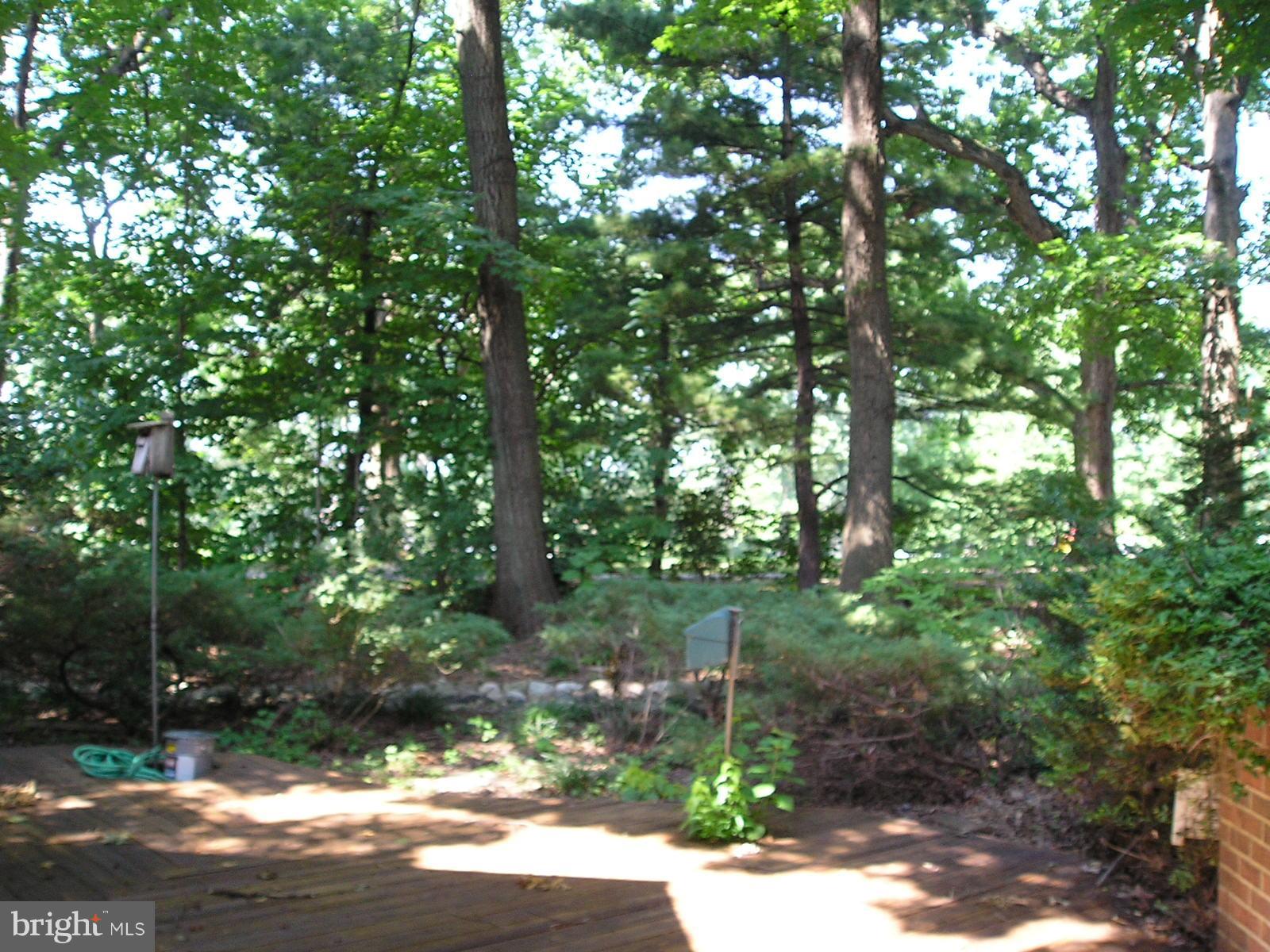 RESTON - Residential Lease