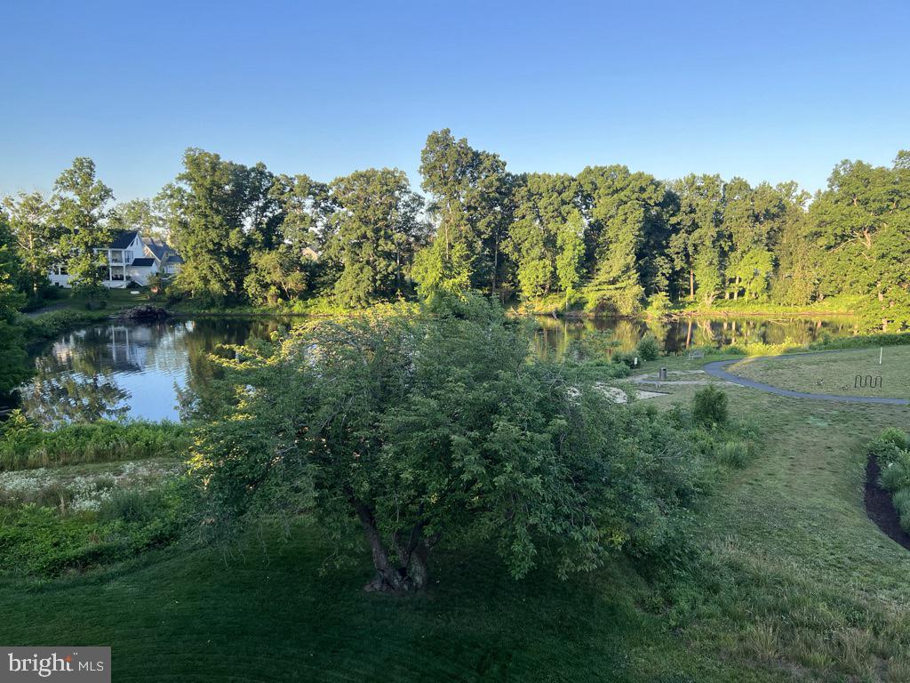 GROVE AT WILLOWSFORD - Residential