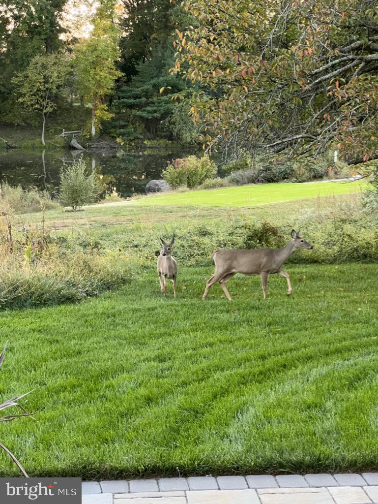 GROVE AT WILLOWSFORD - Residential