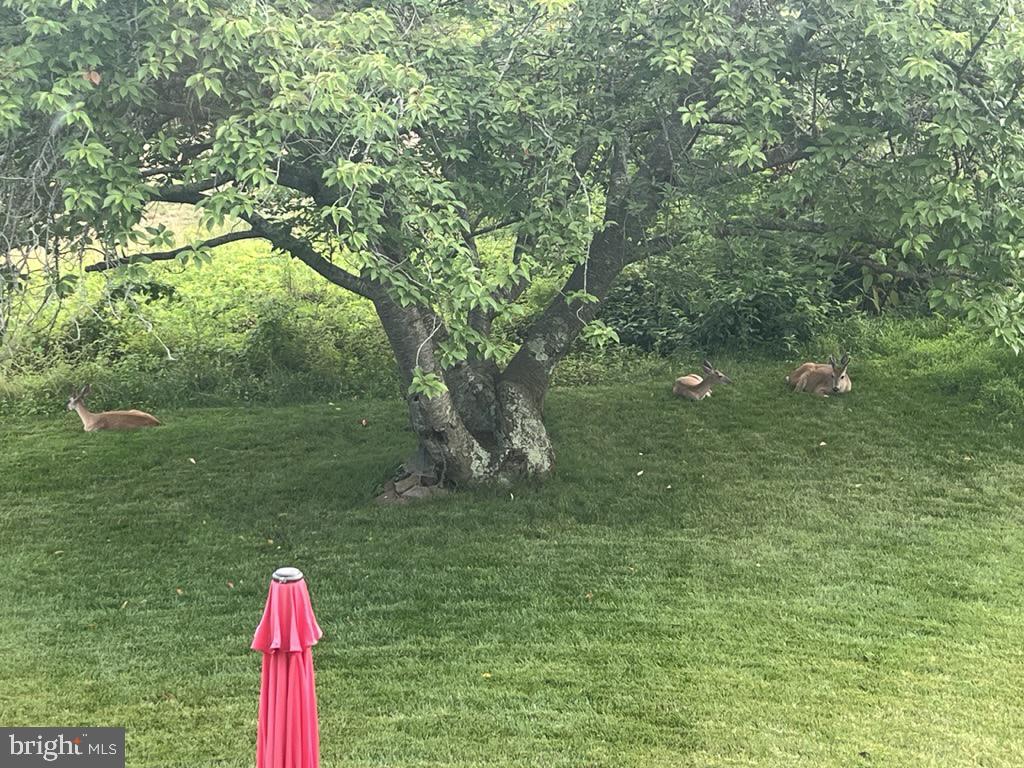 GROVE AT WILLOWSFORD - Residential