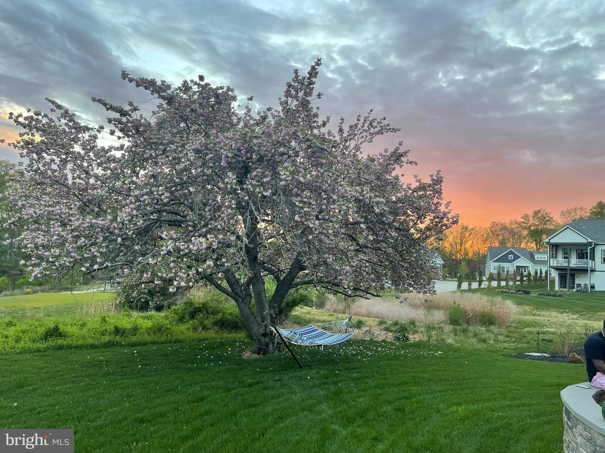 GROVE AT WILLOWSFORD - Residential