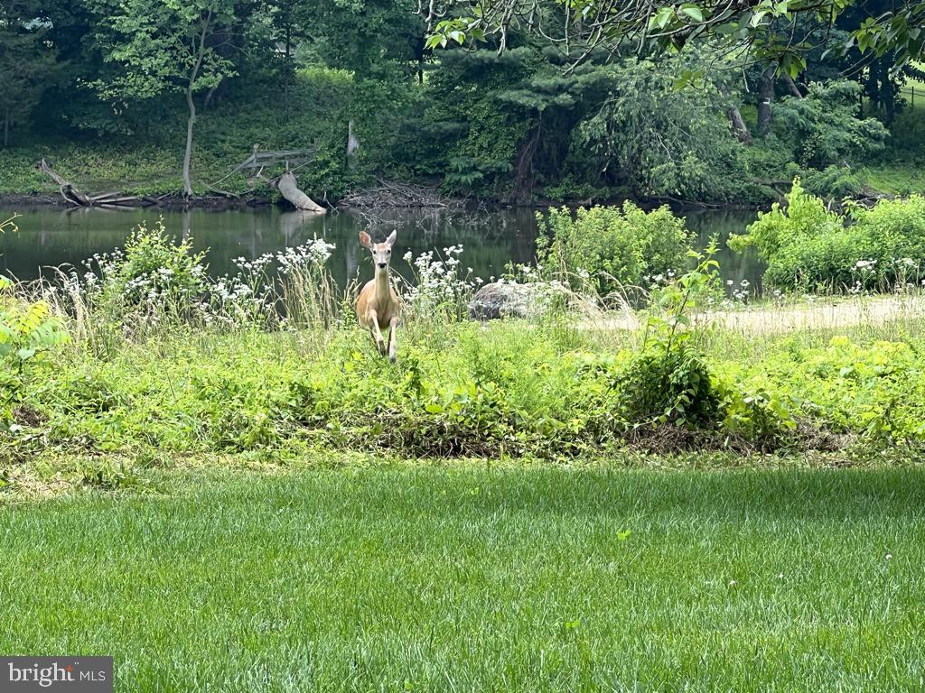 GROVE AT WILLOWSFORD - Residential