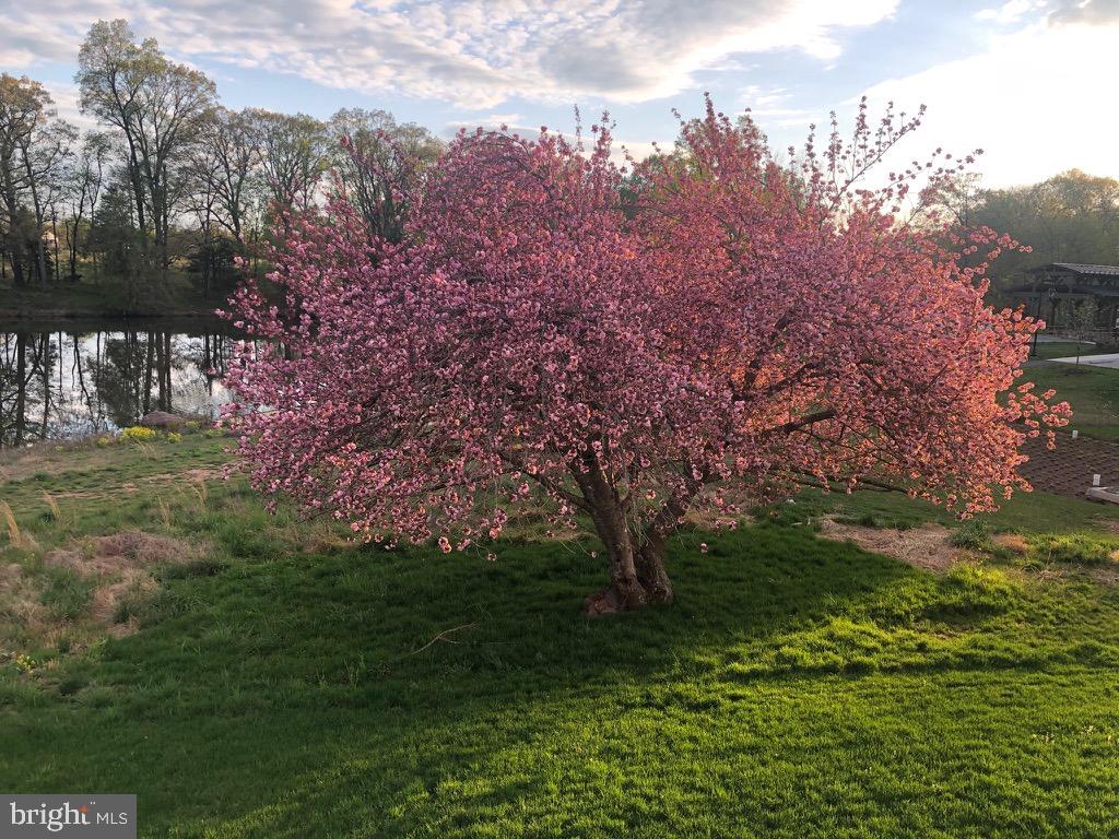 GROVE AT WILLOWSFORD - Residential