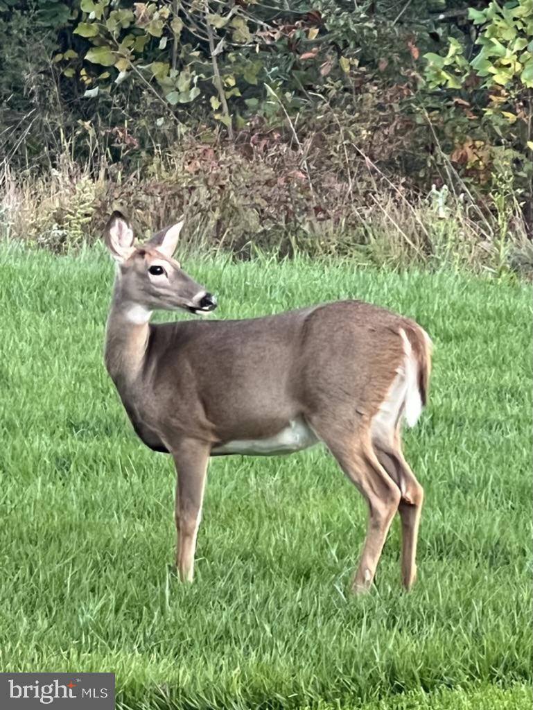 GROVE AT WILLOWSFORD - Residential