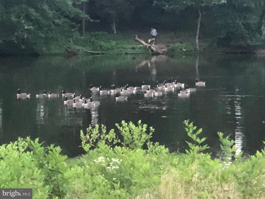 GROVE AT WILLOWSFORD - Residential