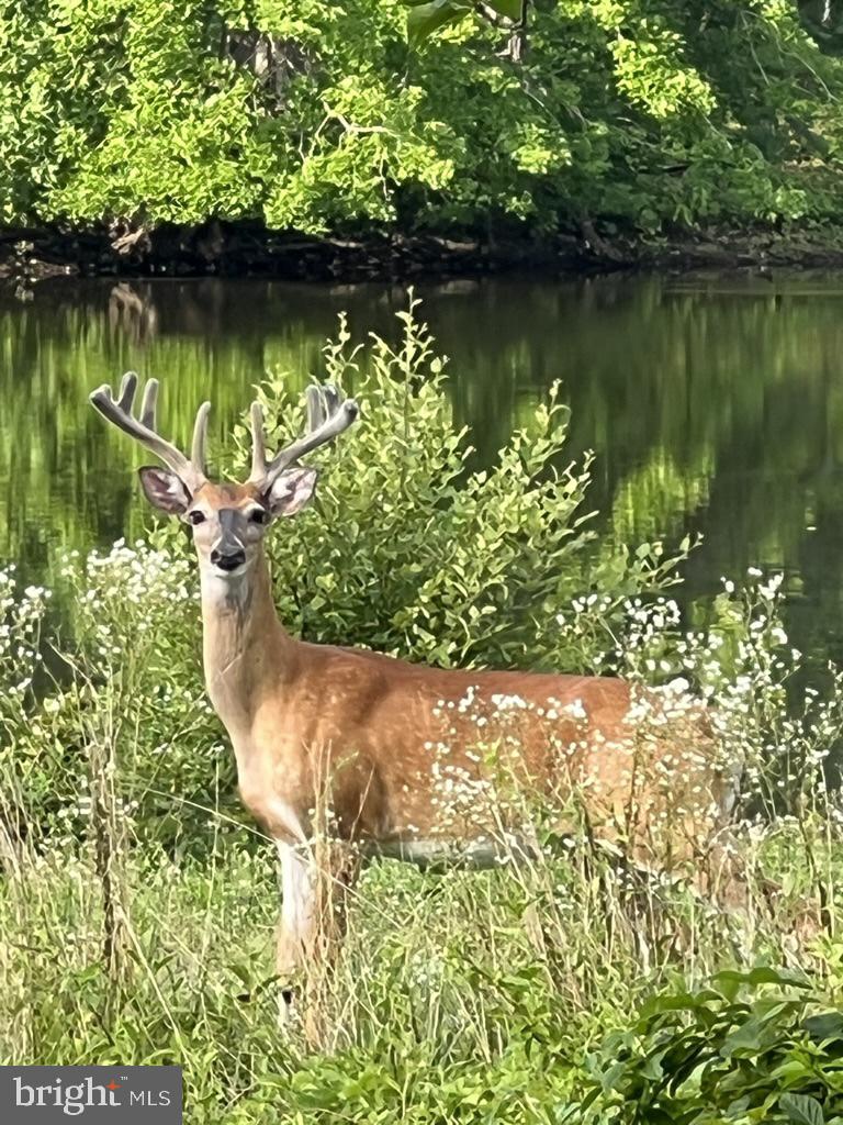 GROVE AT WILLOWSFORD - Residential