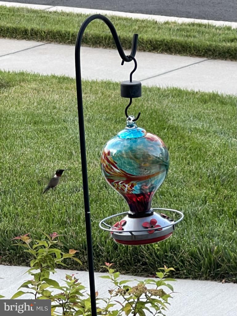 GROVE AT WILLOWSFORD - Residential