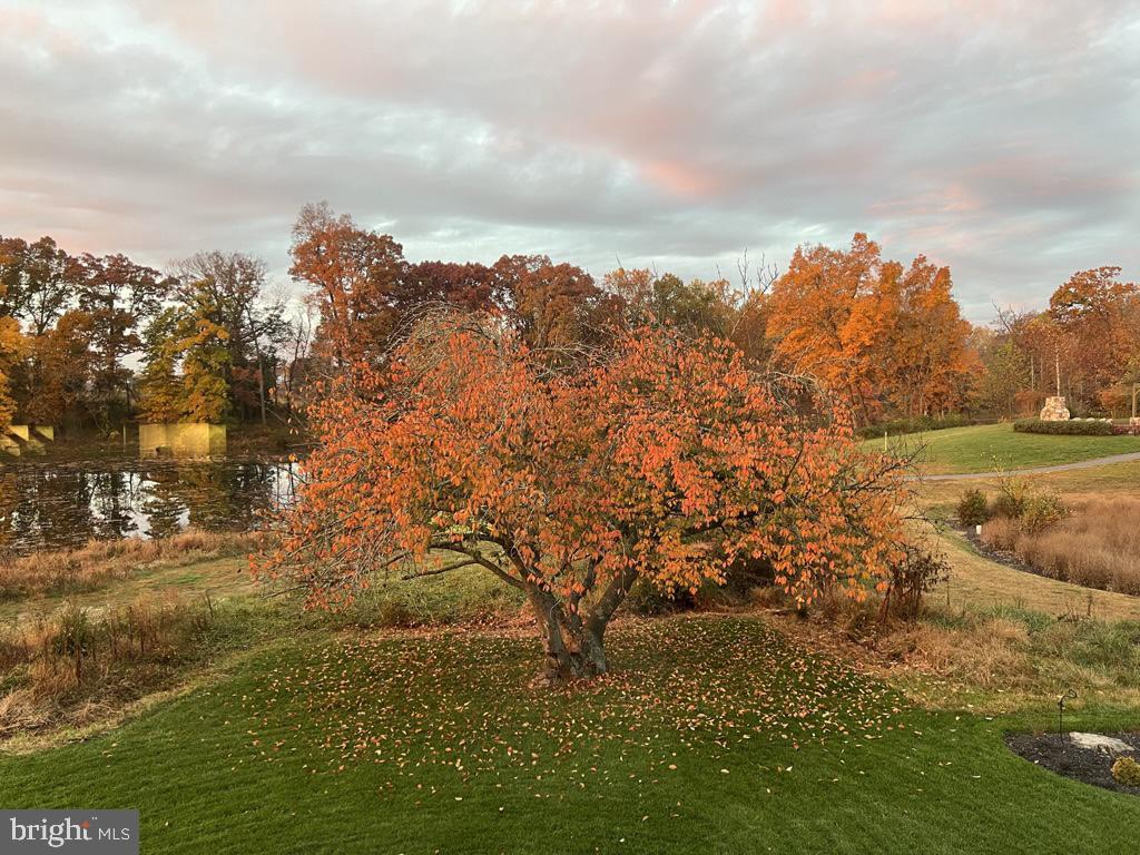 GROVE AT WILLOWSFORD - Residential