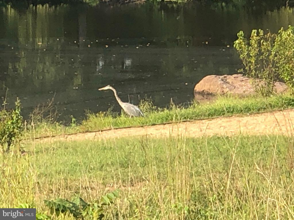 GROVE AT WILLOWSFORD - Residential
