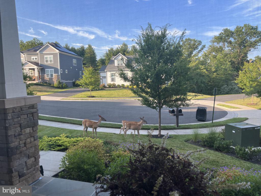 GROVE AT WILLOWSFORD - Residential