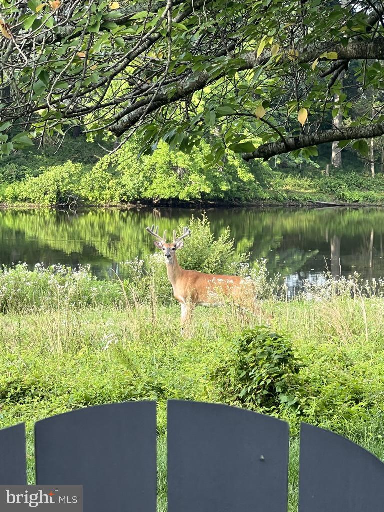 GROVE AT WILLOWSFORD - Residential