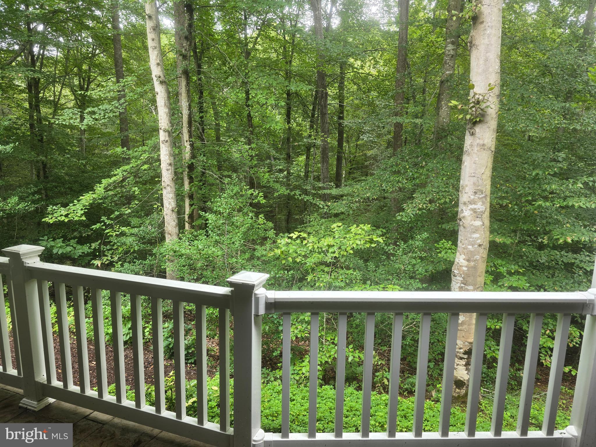 SMITH LAKE ESTATES - Residential