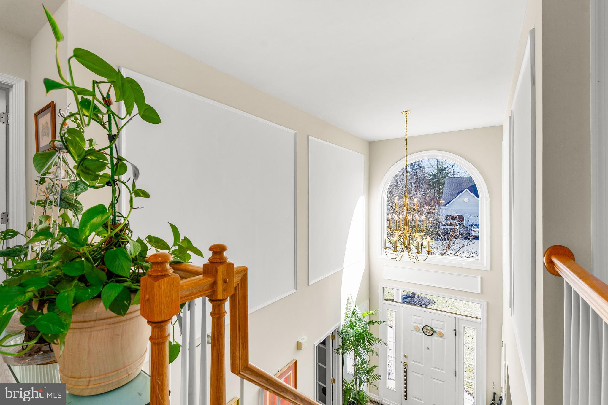 WHITAKER WOODS - Residential