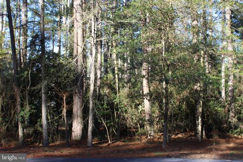 Vacant Land For Sale - 540 Skipper Court<br/> Accomack County, GREENBACKVILLE, VA 23356