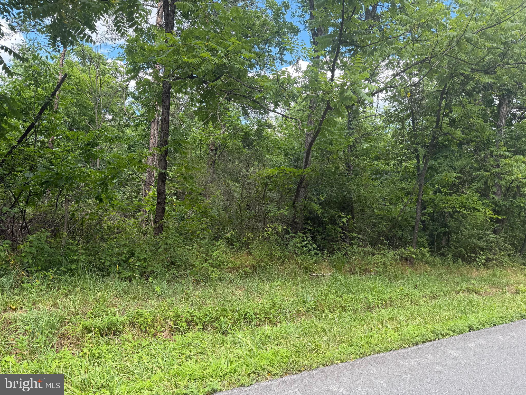 Lot 13 REDBUD ROAD