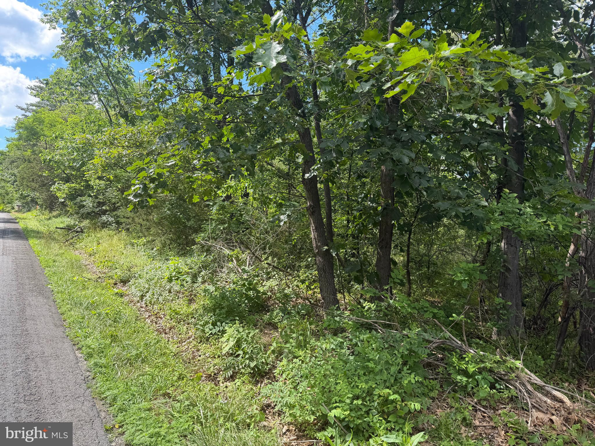 Lot 13 REDBUD ROAD