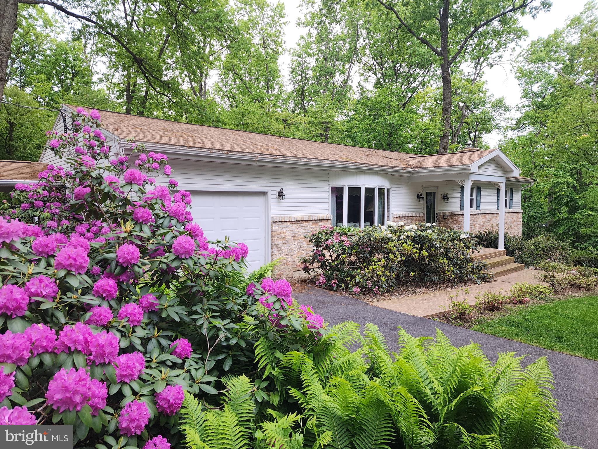WHITE ROCK ACRES - Residential