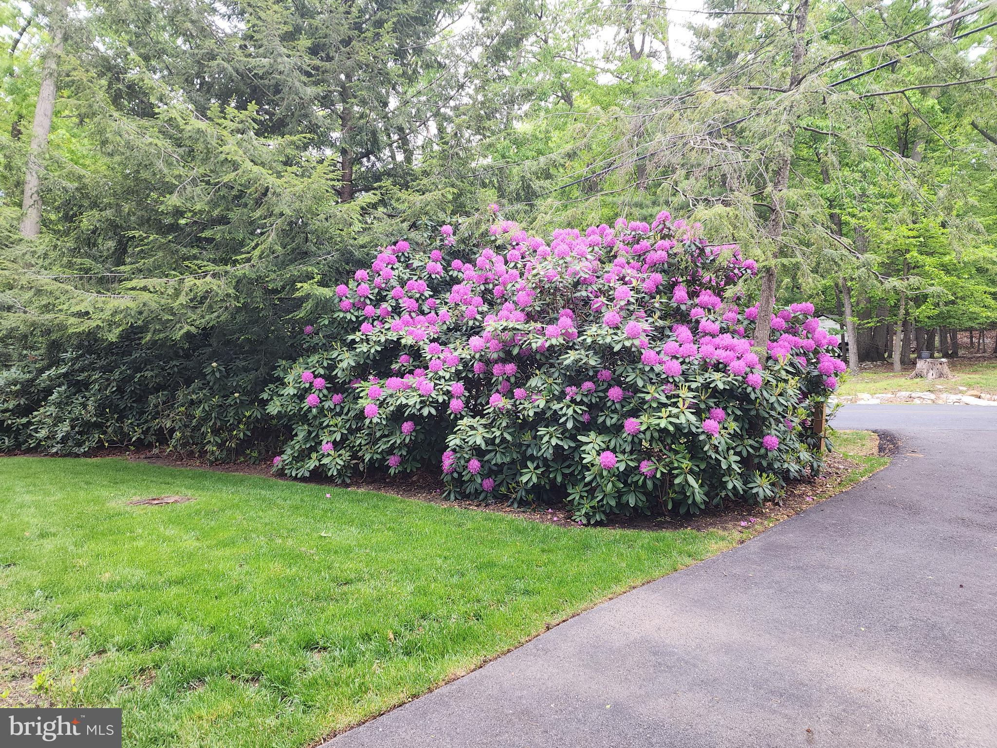 WHITE ROCK ACRES - Residential