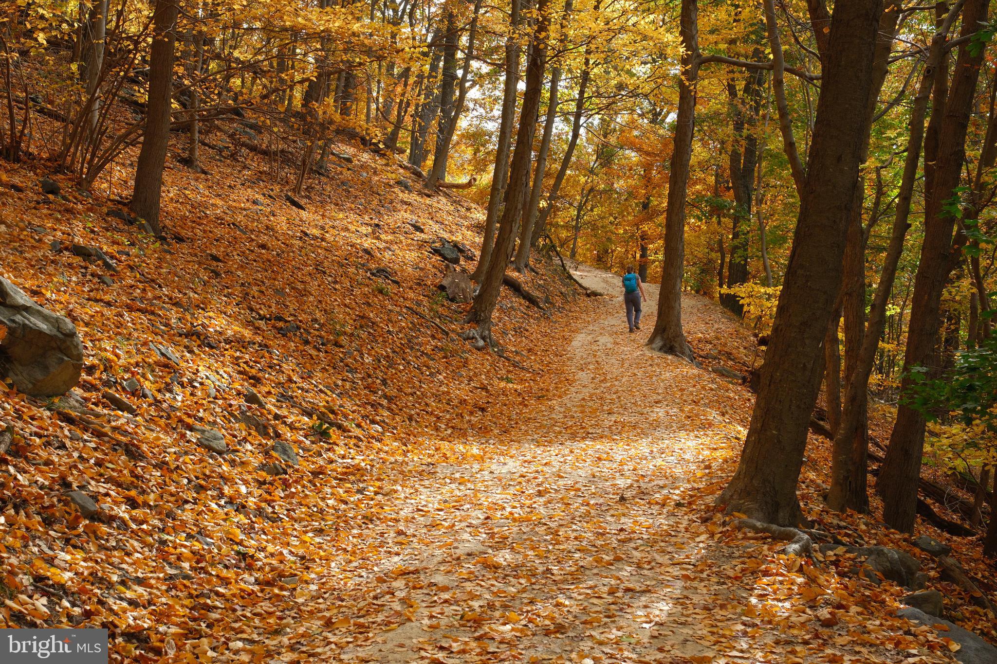 ASHLAND VILLAGE - Residential