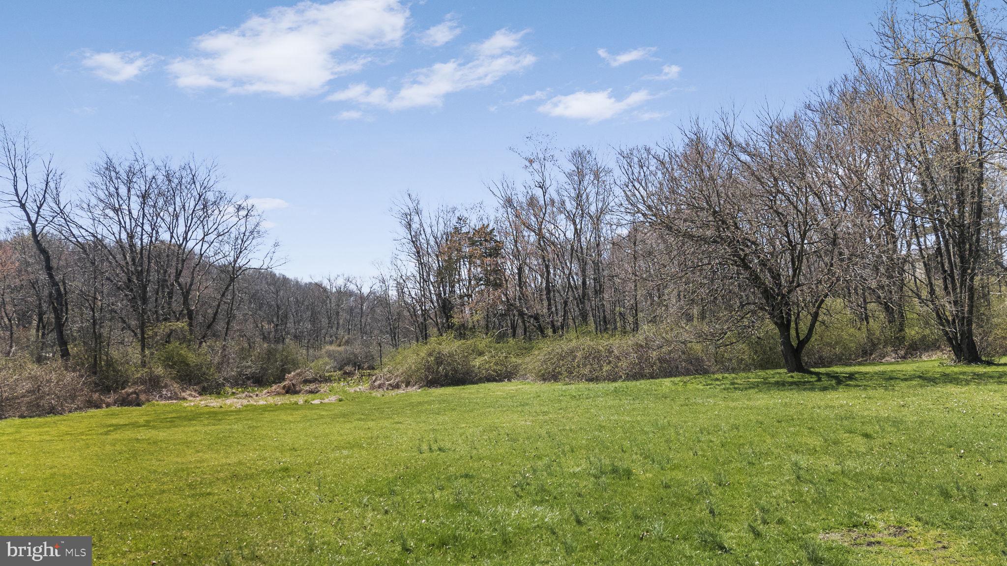 BIRDLAND - Residential