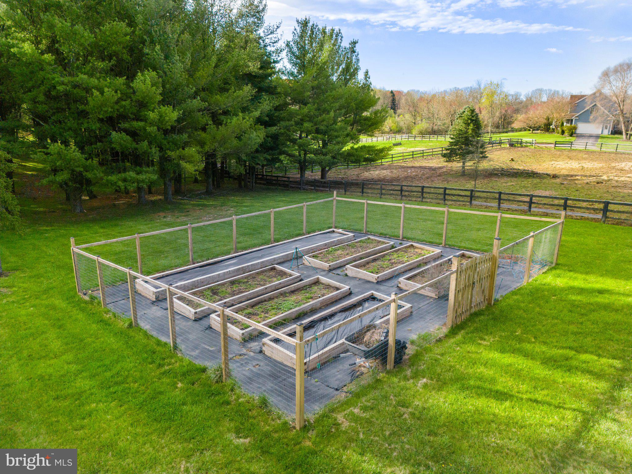 PEACOCK - Residential