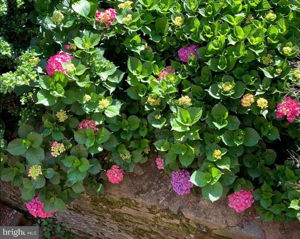 FOREST ESTATES - Residential