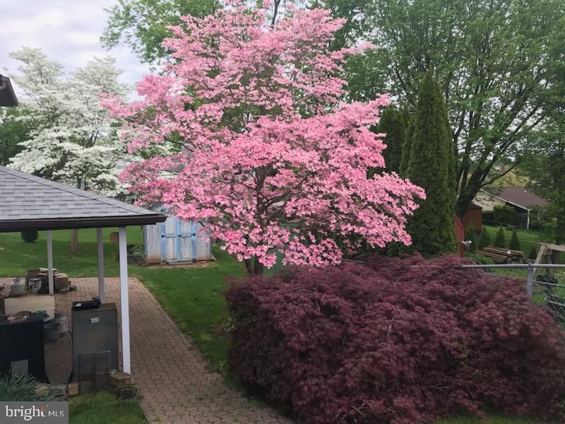 THE GREENS OF WESTMINSTER - Residential