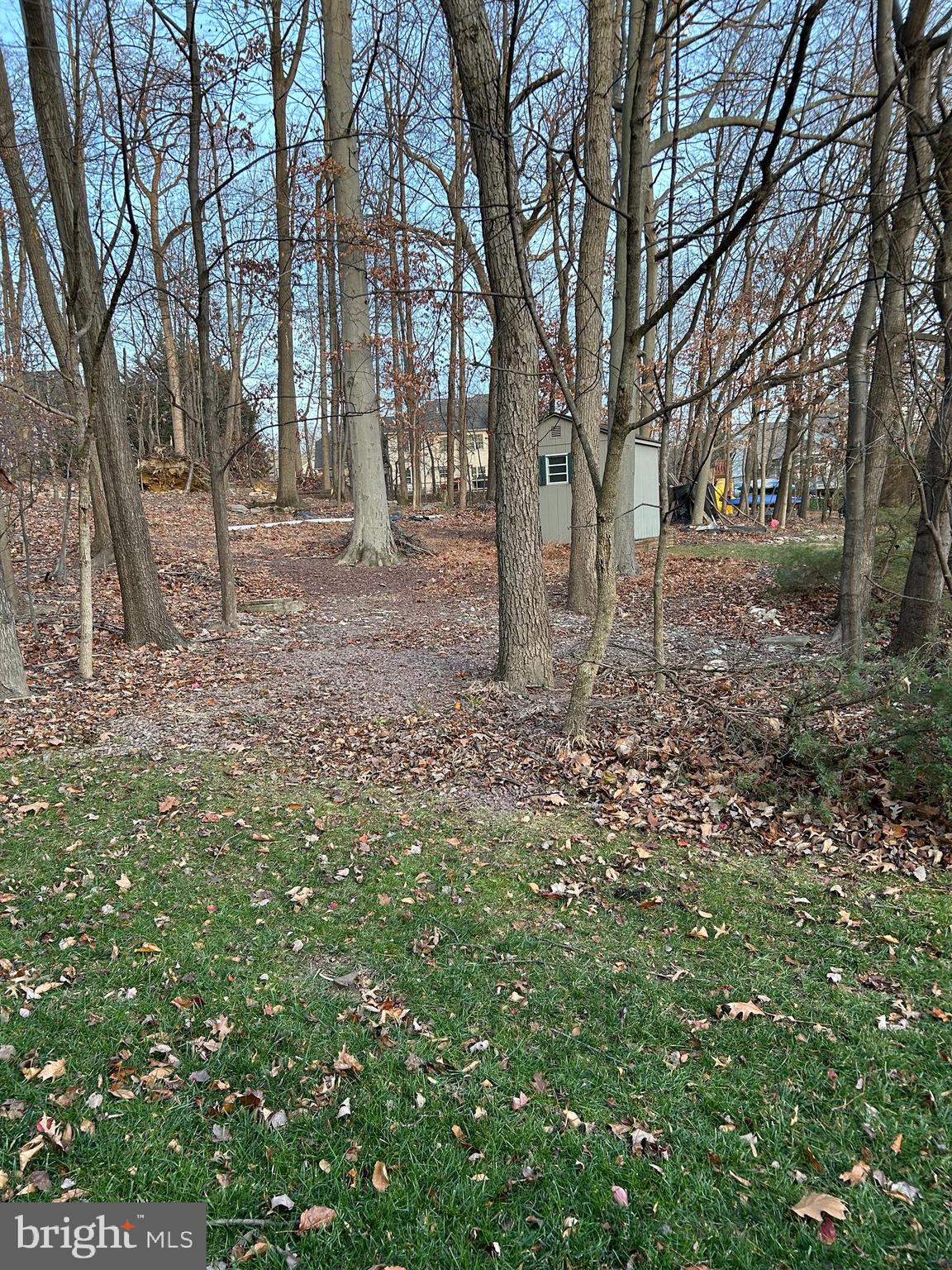 FOREST HILLS - Residential