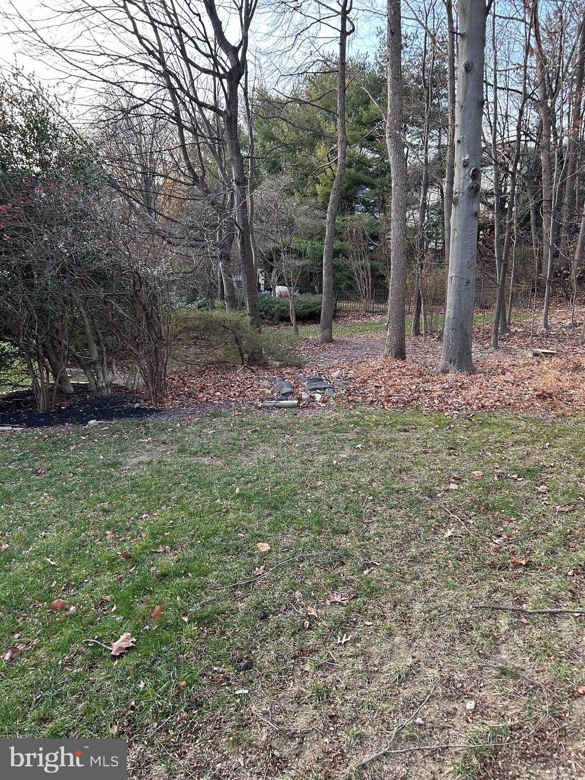 FOREST HILLS - Residential