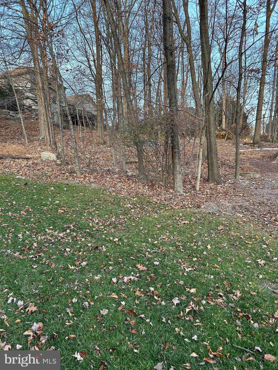 FOREST HILLS - Residential