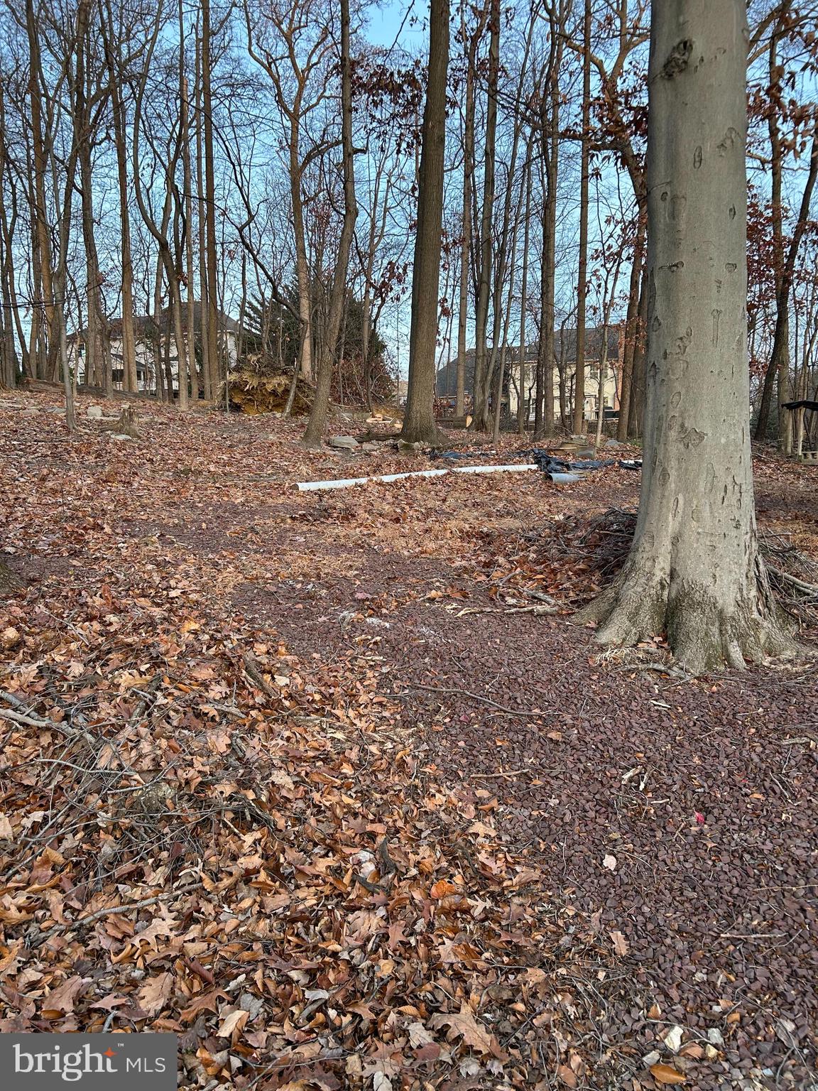 FOREST HILLS - Residential