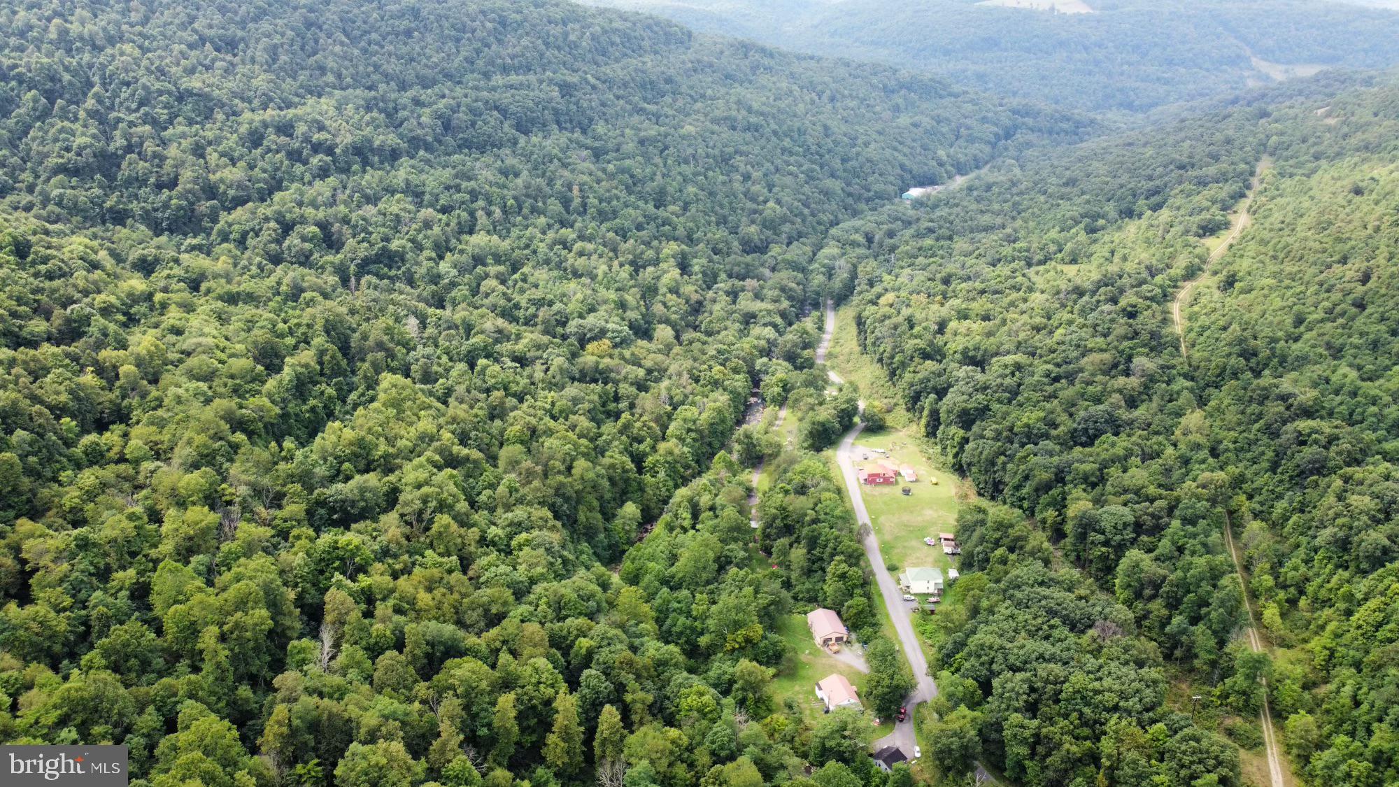 UPPER ABRAMS CREEK ROAD