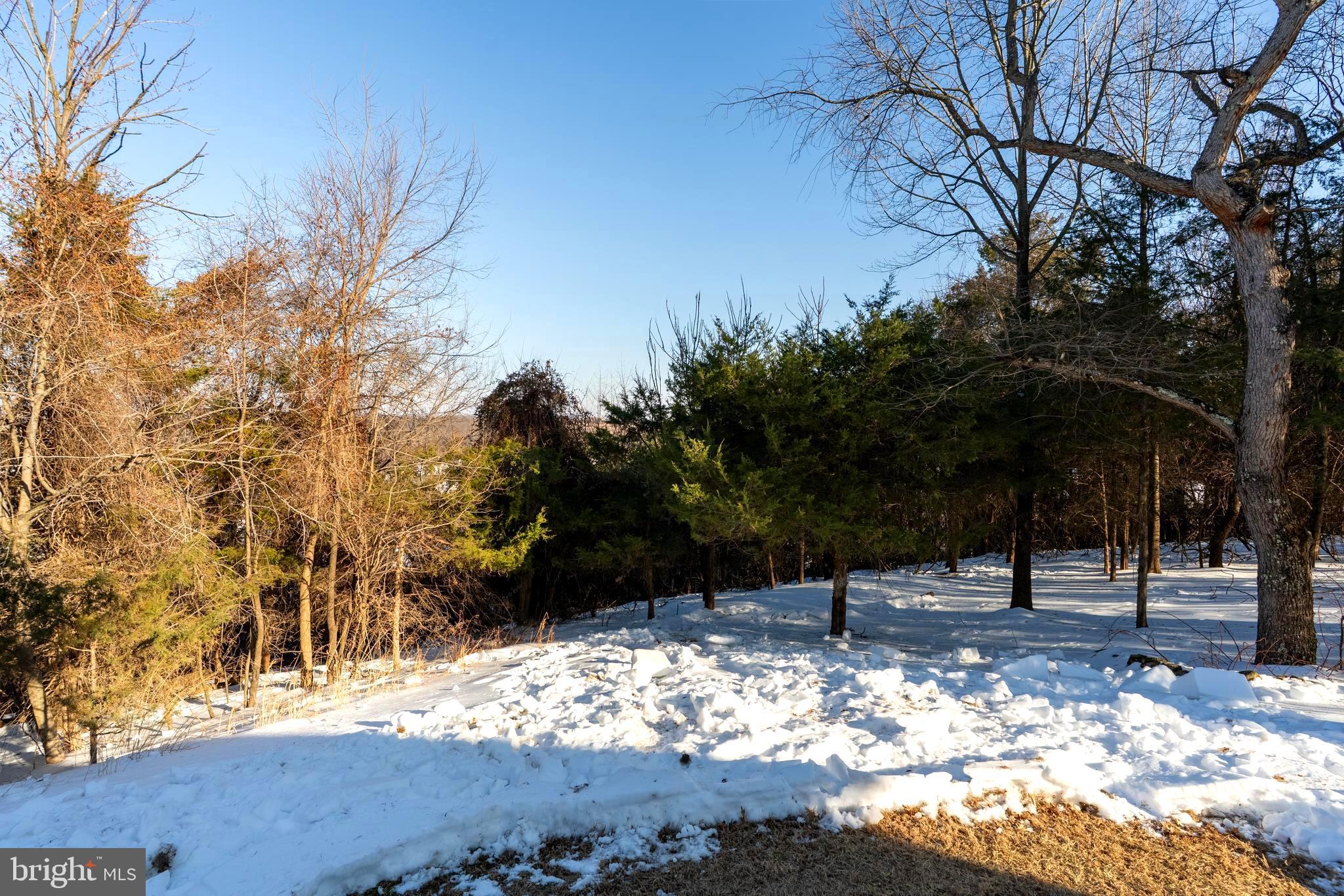 TAVISTOCK FARMS - Residential