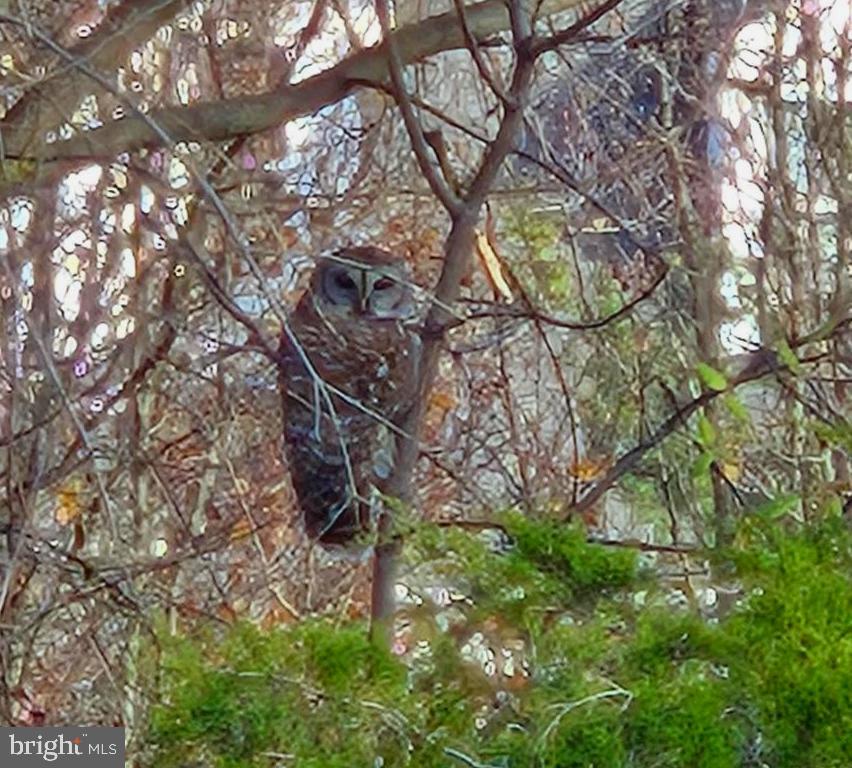 TAVISTOCK FARMS - Residential