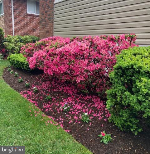 CARROLL KNOLLS - Residential